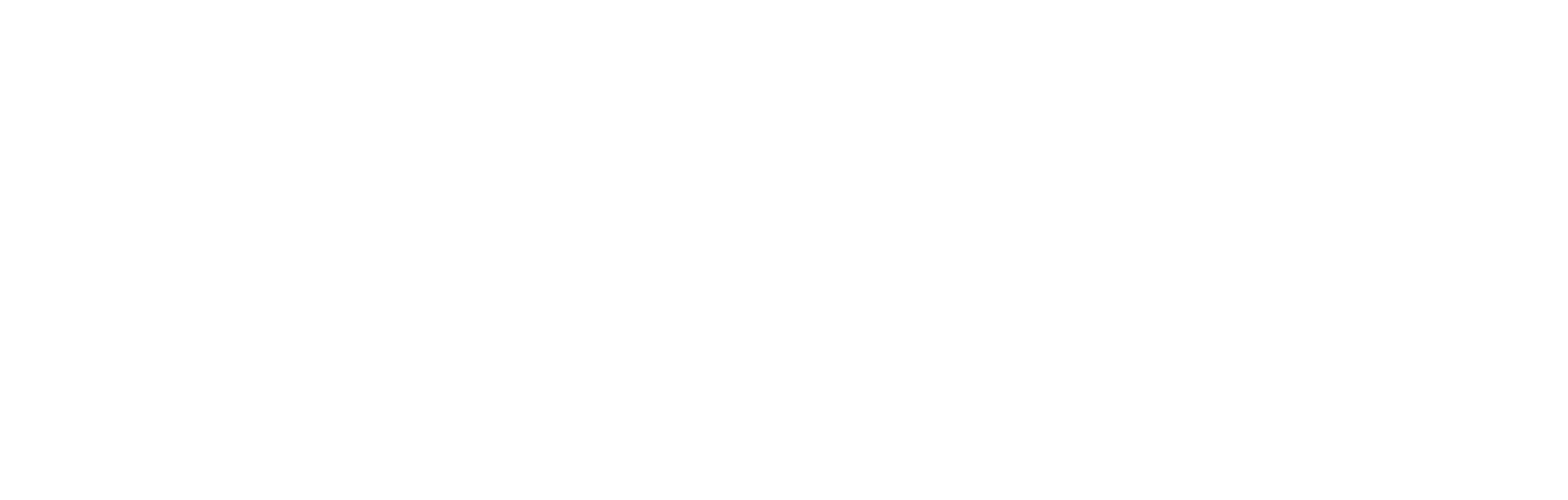 CESYT logo footer